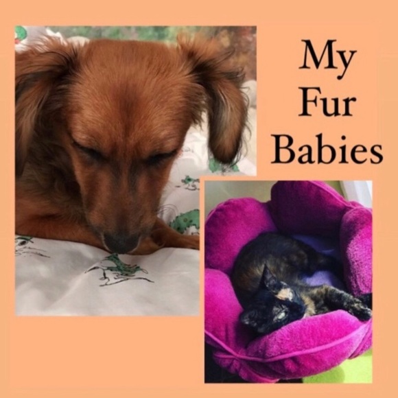 Meet your Posher, JoJo - Picture 1 of 3